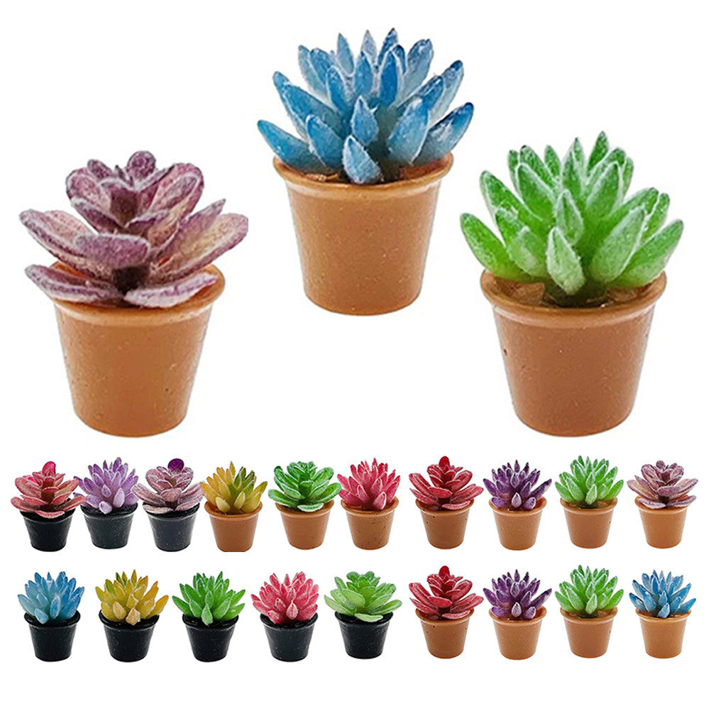 Desk Setup With Plants - 24 pots miniatures pour plantes succulentes,