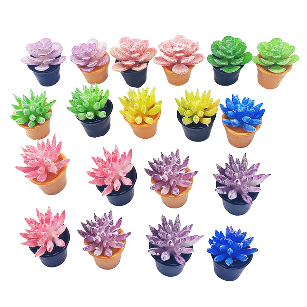 24 pots miniatures pour plante - Desk Setup With Plants avis et prix